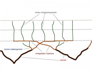 formirovka.jpg