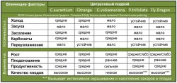 citrus-rootstocks.jpg