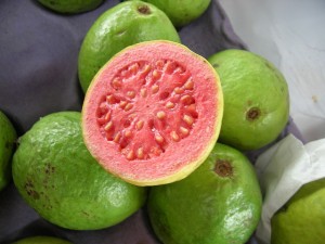 guava-by-Vic-Lic.jpg