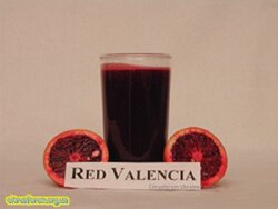 RedValencia4.jpg