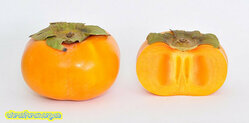 Fuyu_Persimmon_(Diospyros_Kaki).jpg