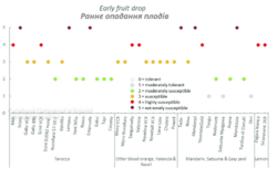 Раннє опадання плодів.png