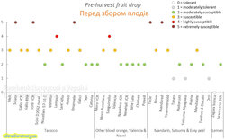Перед збором плодів.jpg