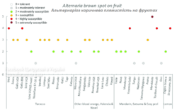 Альтернаріоз коричнева плямистість на фруктах.png