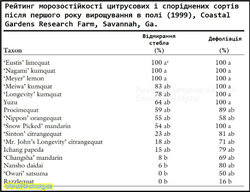 Рейтинг морозостійкості цитрусових і споріднених сортів після першого року вирощування в полі (1999), Coastal Gardens Research Farm, Savannah, Ga..jpg