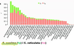 Citrus_relatedness_network_and_haplotype_sharing_with_sweet_orange.jpg