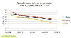 Кислотність Murina Spring Sunshine Orri.jpg