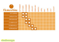 CALENDAR__ROMAY_Clementine_ING-copia-1.jpg