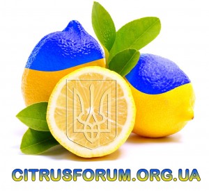 citrusforumorgua.jpg