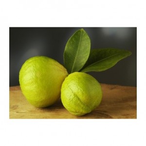 citrus-limonimedica-ricco-rosso.jpg