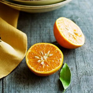 citrus-club-fremont-tangerine-0211-l.jpg