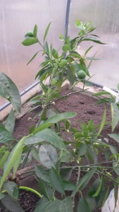 20160930_083711.jpg