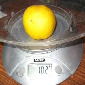 DSCF9548.jpg