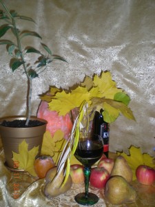 DSCN2734.JPG