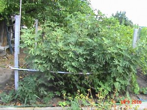 20160918173909(2).JPG