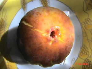 20161007113206(1).JPG