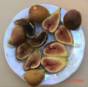 20160912182525(1).JPG