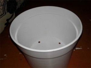 20161125_114116.jpg
