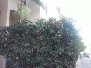 20161125_120.jpg