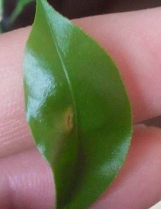 20161127101423-1.jpg