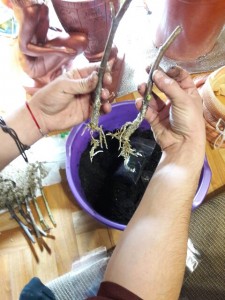 20161127_164508-480x640.jpg
