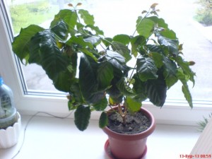 DSC01364.jpg