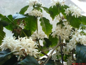 DSC01440.jpg