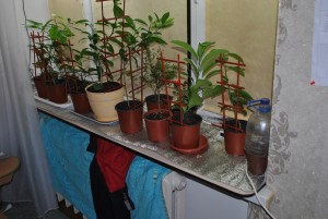 DSC_0124.jpg