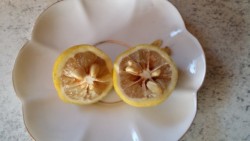 20161217_125715.jpg