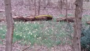 20150228_175654M.jpg