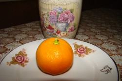 DSC02213.jpg