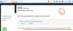 cit_ru.jpg