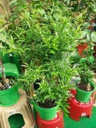 7_-PT2y7rFw.jpg (27.96 КБ) 31277 просмотров 7_-PT2y7rFw.jpg