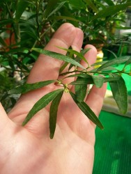 dhFB7rvarTA.jpg (17.35 КБ) 30782 просмотра dhFB7rvarTA.jpg