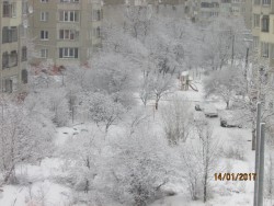 IMG_4078.JPG