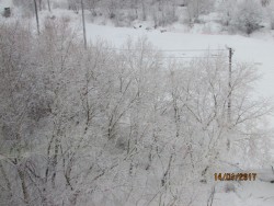 IMG_4074.JPG