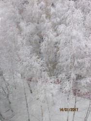 IMG_4071.JPG