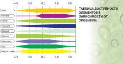 Безымянный.png