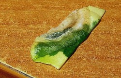 06.JPG