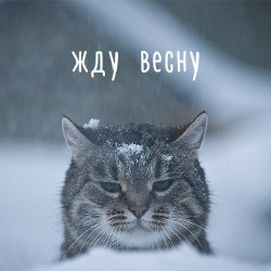 yKRoHWZZYRk.jpg