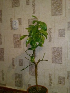 140320152244.jpg