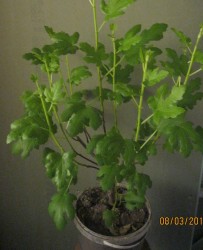 IMG_4669.jpg