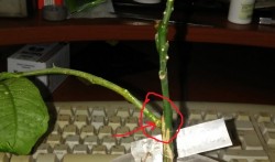 20170401_121230[2].jpg