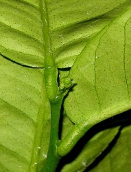 IMG_5814.JPG