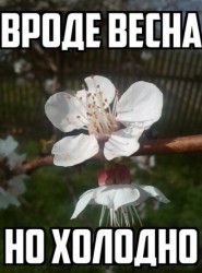 37dIX2VIPxI.jpg