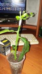 20170415_183525[1].jpg