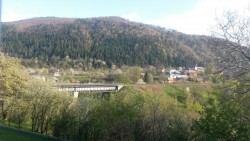 20170425_182101.jpg