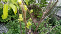IMG_20170508_628.jpg