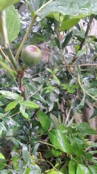 IMG_20170514_160012.jpg