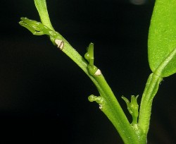 IMG_6017.JPG